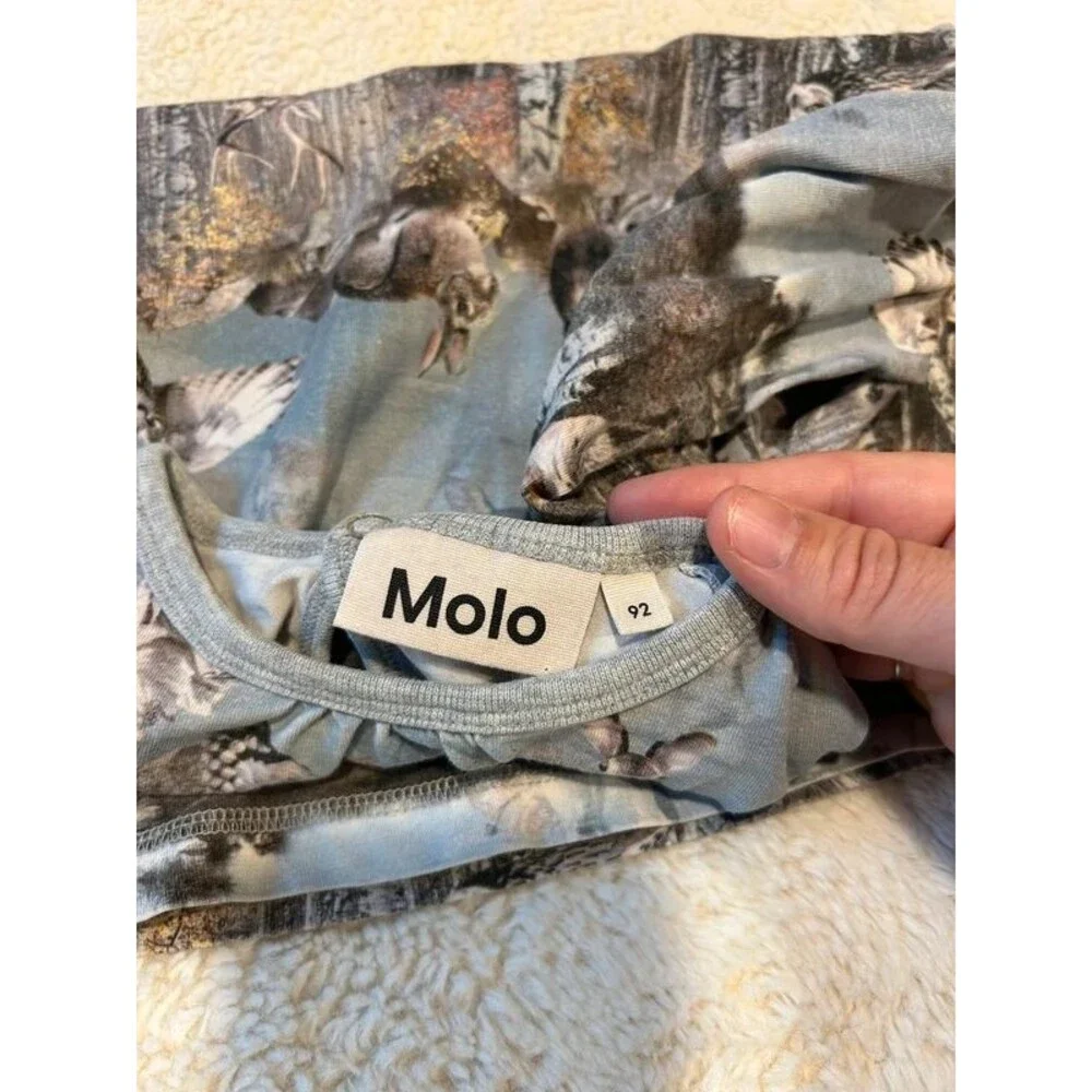 Molo Caras Brand Girls 2T Grey Blue Forest Lake Print Long Sleeve Dress